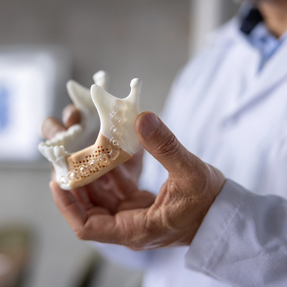Arzt zeigt ein 3D-Modell eines menschlichen Unterkiefers
